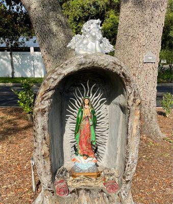 #SanSebastianCatholic church in St. Augustine. I LOVE this Virgin of Guadalupe statue, it is to bring good luck and prosperity.