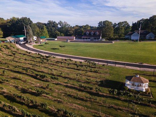 Starr Hill Vineyard & Winery in Curwensville PA.  Part of the PA Wilds Region