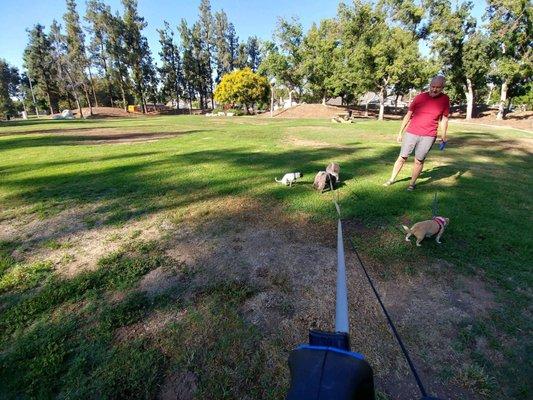 They took Stevie to a park during the stay :)