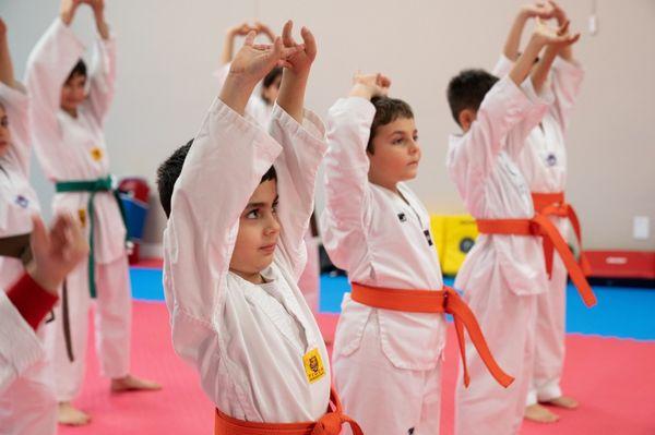 We Invite To Training All Ages In Yeremyan's Taekwondo Club 
317 1/2 N Verdugo Rd, Glendale, CA 91206
818-423-95-19