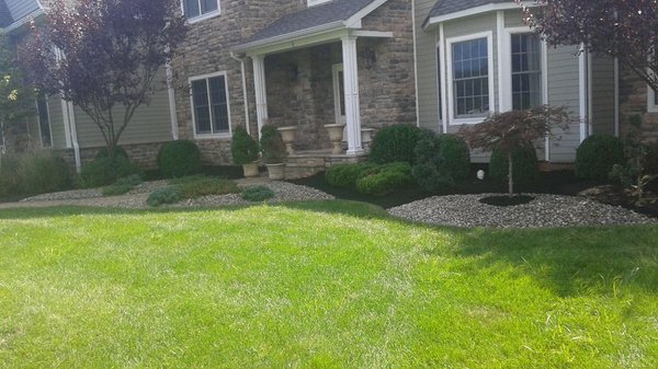 Shrub trimming, mulch and stone.