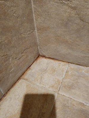 Gaps in grout & unsightly rust orange color a year later.