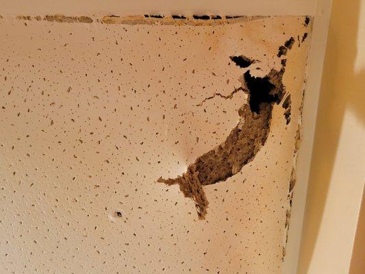 So much water that the kitchen ceiling tile is bursting open, due to the ceiling leaking. This is not a drip drip, drip anymore.