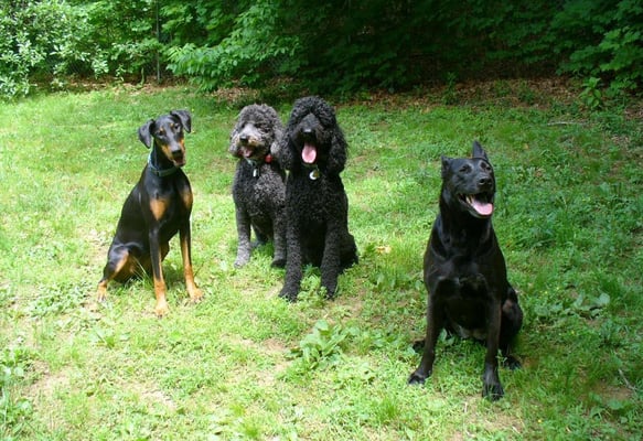 Boarding School students pose for a class picture.