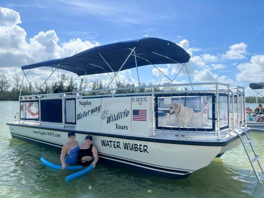 Naples Waterway & Wildlife Tours, Keewaydin Island, Dolphin-watching, Sunset, Shelling, 10-Thousand Islands, Private, Up to 12 Passengers