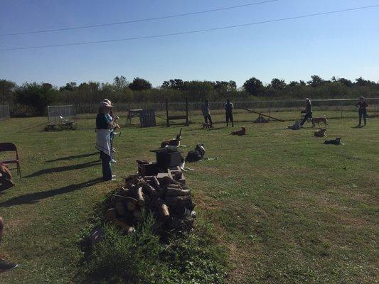 Consummate K-9 Training