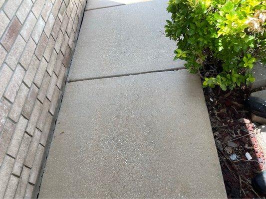 Clean walkway after power washing service.