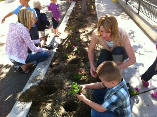 Planting Flowers