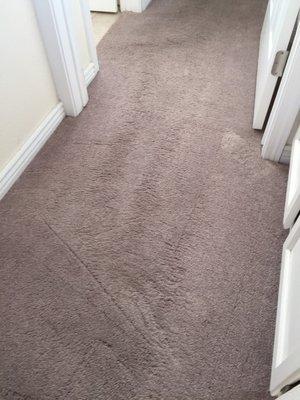 Aladdin Carpet Cleaning and Restoration