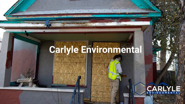 Carlyle Environmental