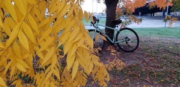 The Community Bicyclist