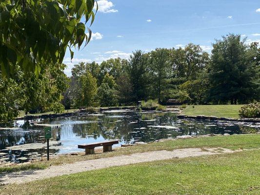 Overlooking pond.