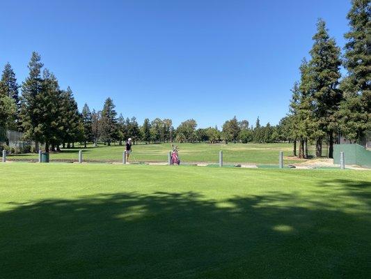 Driving range view from the putting green