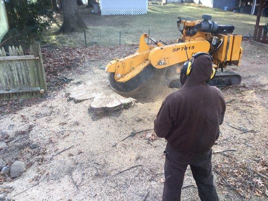 Carlton remote control stump grinder on soft rubber tracks