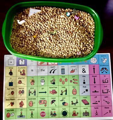 Sensory bins provide lots of language opportunities.