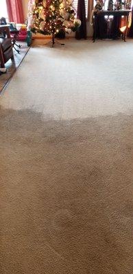 in process of cleaning a very dirty carpet in a large living room