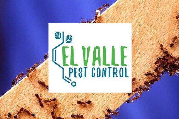 El Valle Pest Control in El Paso TX