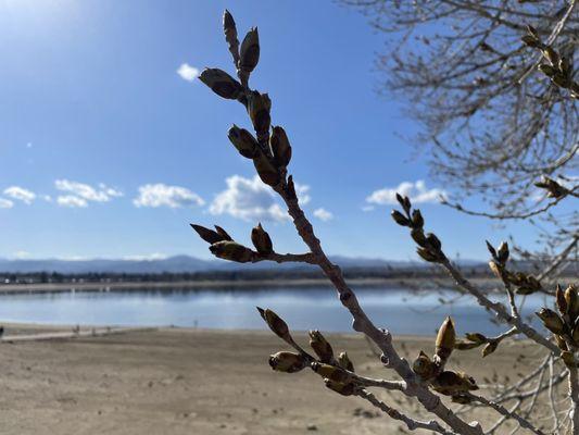 Lake Loveland