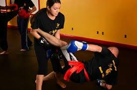 Sanshou for self-defense