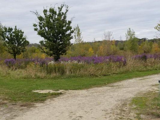 Gravel Paths