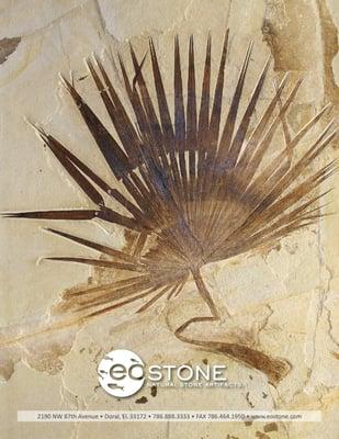 EoStone offers exceptional fossils, crystals, and artifacts to interior designers, collectors and museums.