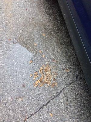 The patrons that visit the businesses on the facility often drop trash from their car windows