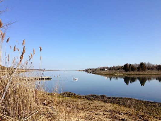 Three Mile Harbor Marina