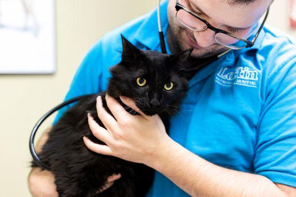 Dr. Michel with Needles, his cat.