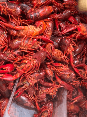 Steaming hot crawfish