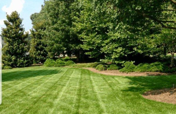 We do beautiful work to our lawns when we mow