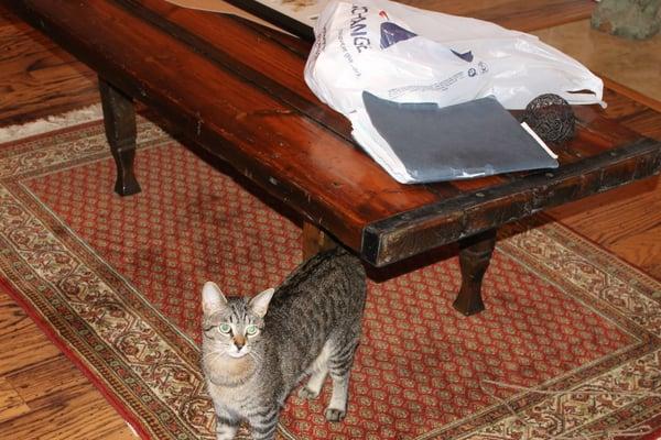 Coffee Table before transformation.