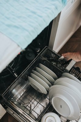 Dishwasher repair.