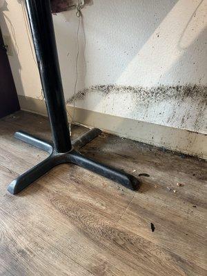 Mold on the wall near the kitchen and the table