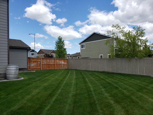 Awesome lawn stripes