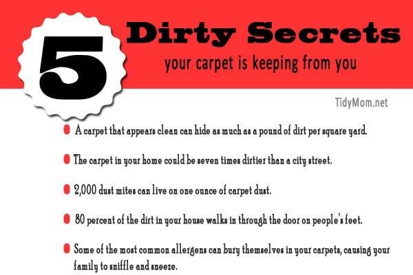 Wondering why your carpet gets so dirty? Are there bugs in "your rugs"? Read the 5 dirty secrets your Capet is hiding!