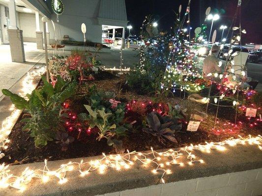 The Gullah Garden is lit up for Christmas.