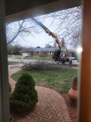 It's not a great photo, but this is the machinery used to cut the limbs.