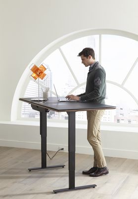 Sit Stand Desk's at Hansen Interiors