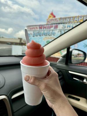 Iguana Island Treats