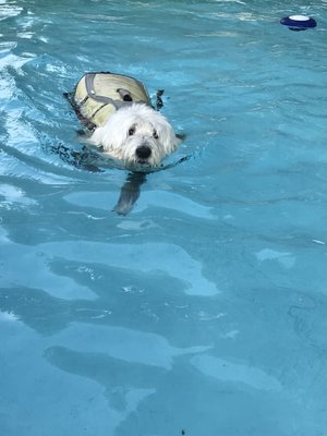 Emma loves to swim.