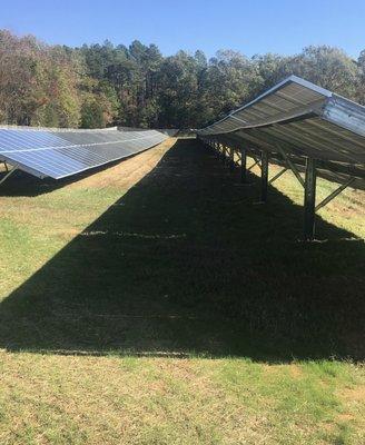 Solar farm mow an trim