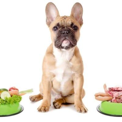 Only about 1% of pets diagnosed with a food allergy are allergic to grains. Most pets don't need a grain free diet!