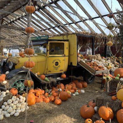 Fall display