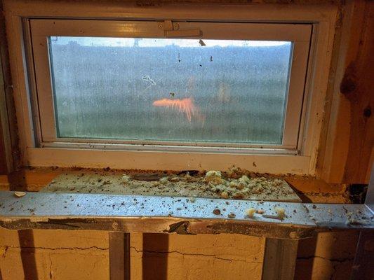 A window seal in the basement