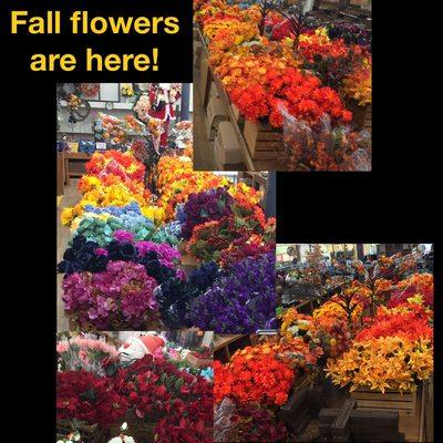 While Spring flowers are reduced 60%, our new Fall ones are here, along with Christmas flowers & decor,