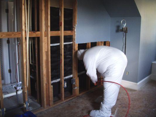 Environmental Mold Solutions removes Moldy Drywall and properly removes mold from your home to make it safe again.