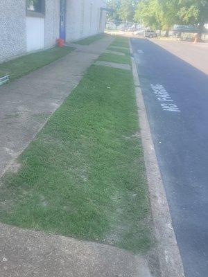 Mowing and edging one my yard I Cut in memphis