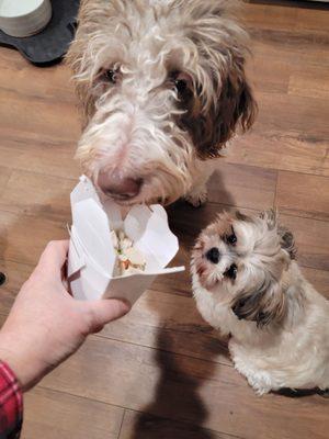 Rosie & Thor loved their pup box!