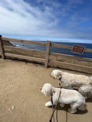 Sky and Ace enjoying a beautiful hiking day!