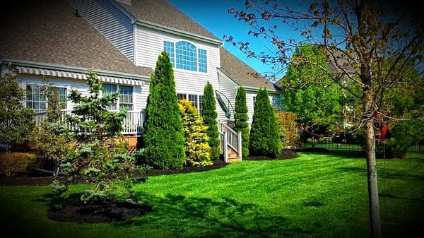 Country Green Professional Landscaping